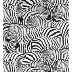 African Oasis 683234