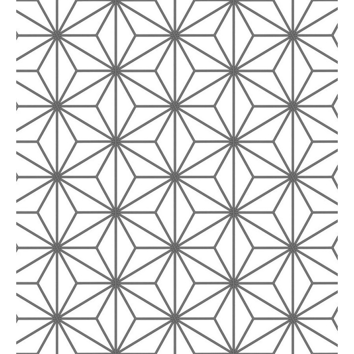 Papel pintado geométrico moderno blanco y gris oscuro - Antares Cosmic 125824