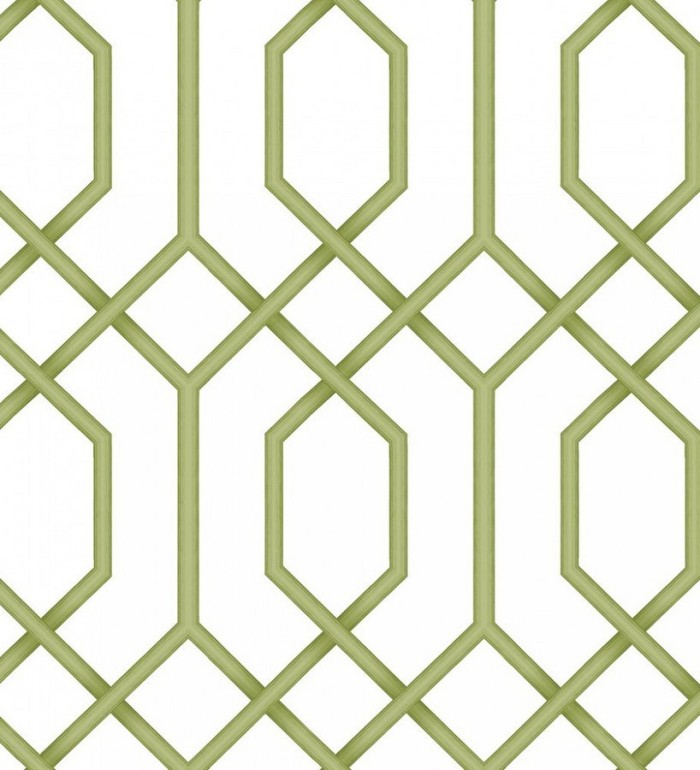 Papel pintado celosía geométrica verde estilo moderno - Hexagon Modern 125833