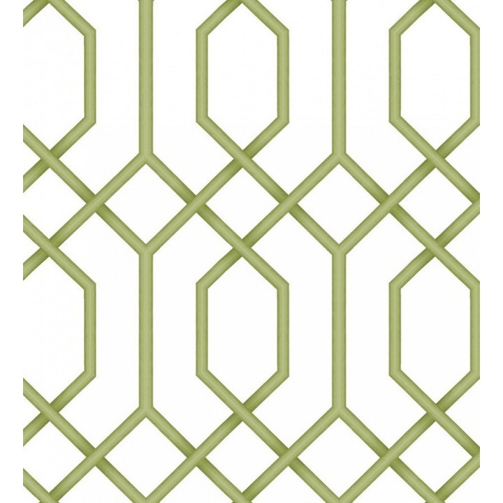 Papel pintado celosía geométrica verde estilo moderno - Hexagon Modern 125833
