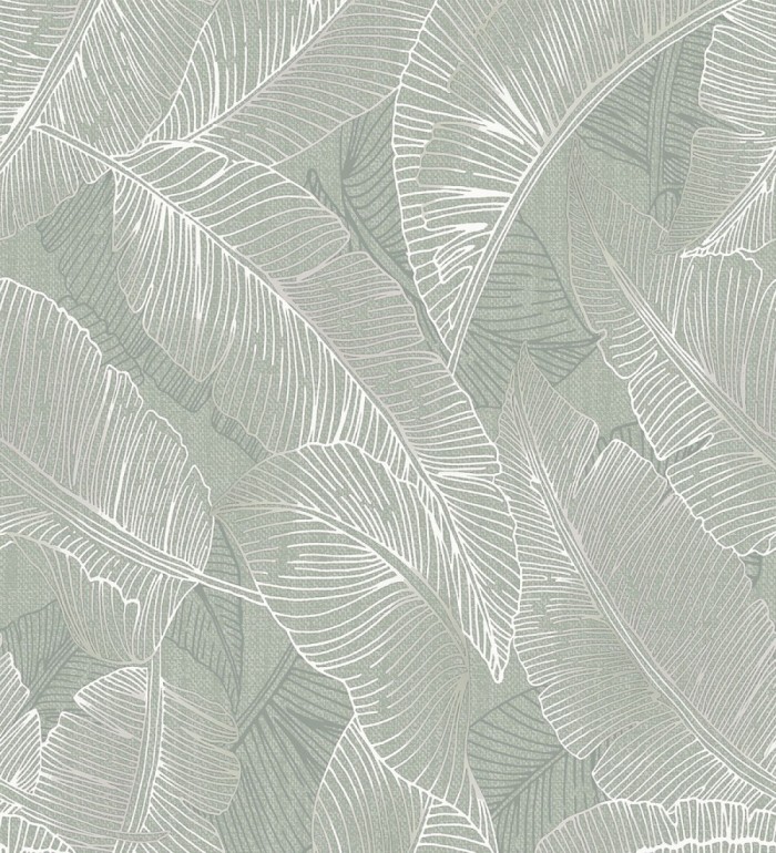 Papel pintado de hojas exóticas en estilo monocromático en tonos verdes - Java Leaves 683356