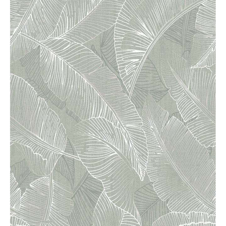 Papel pintado de hojas exóticas en estilo monocromático en tonos verdes - Java Leaves 683356