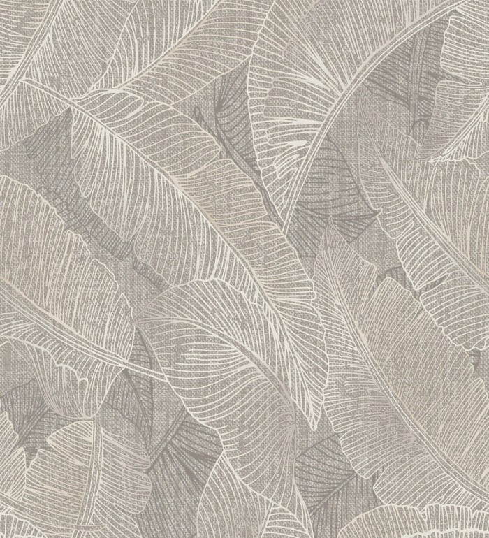 Papel pintado de hojas exóticas en estilo monocromático en tonos tierra - Java Leaves 683357