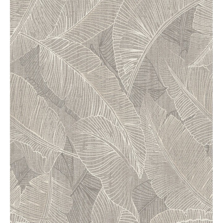 Papel pintado de hojas exóticas en estilo monocromático en tonos tierra - Java Leaves 683357