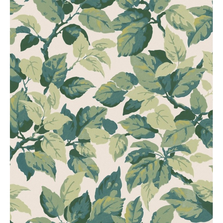 Papel pintado de hojas frondosas en estilo botánico tonos verdes - Savoy Leaves 683411