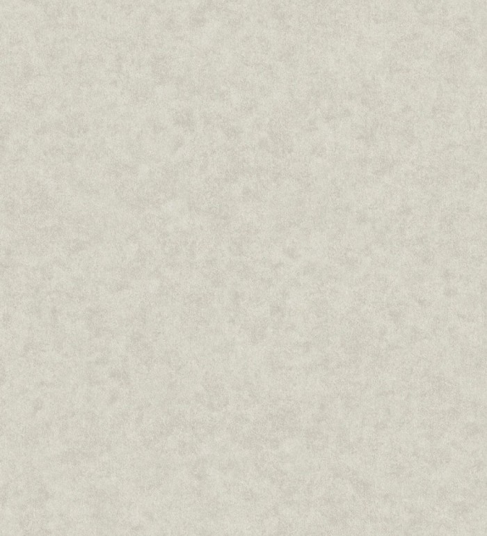 Papel pintado liso con textura arcillosa y acabado natural en color gris taupe claro - William Texture 683443