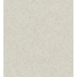 Papel pintado William Texture 683443