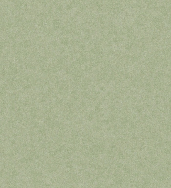 Papel pintado liso con textura arcillosa y acabado natural en color verde - William Texture 683444