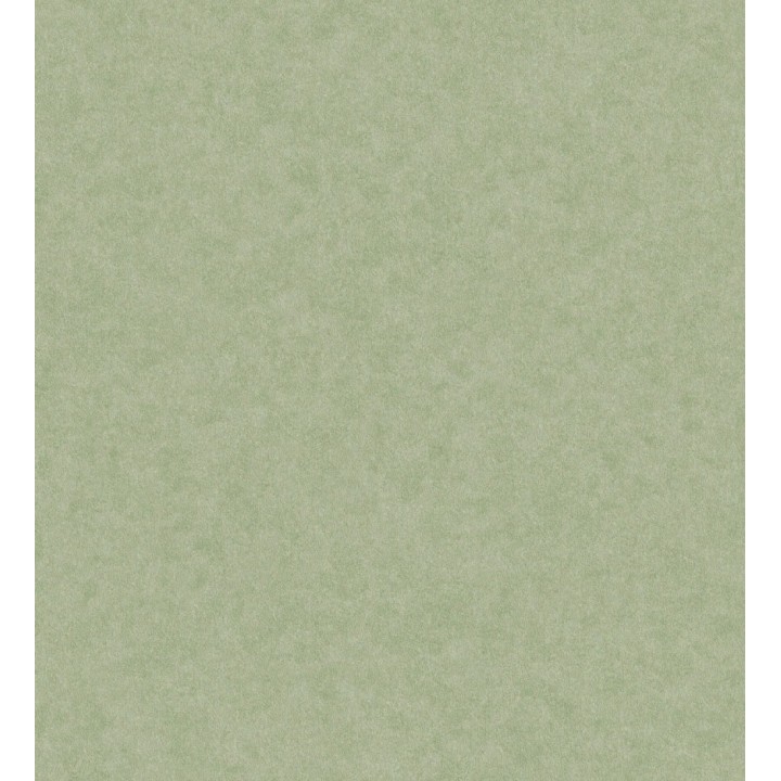 Papel pintado liso con textura arcillosa y acabado natural en color verde - William Texture 683444