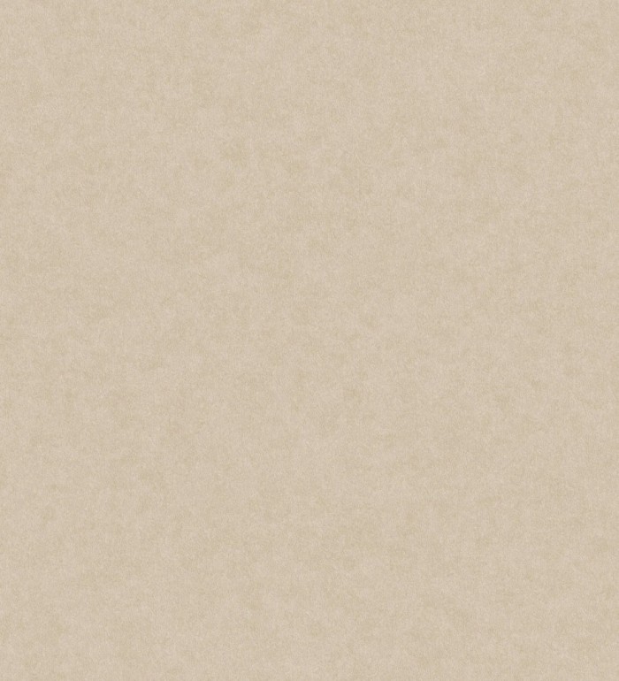 Papel pintado liso con textura arcillosa y acabado natural en color beige - William Texture 683445