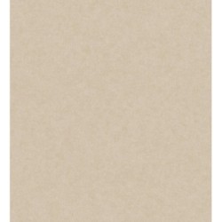 Papel pintado William Texture 683445