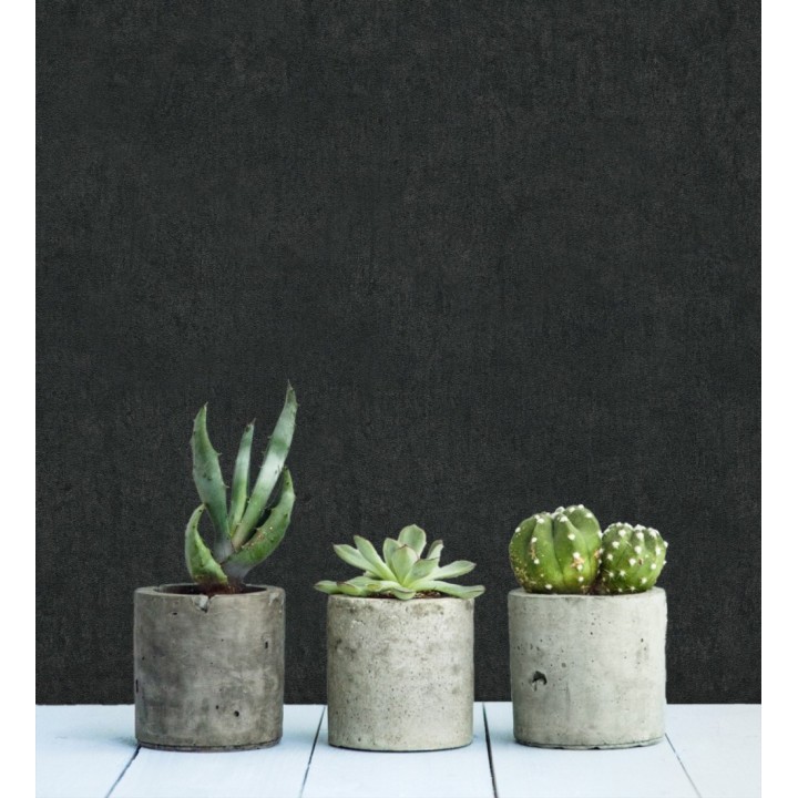 Papel pintado de pared con textura de arcilla natural en tonos gris pizarra y negro - Aspen Mirage 683478