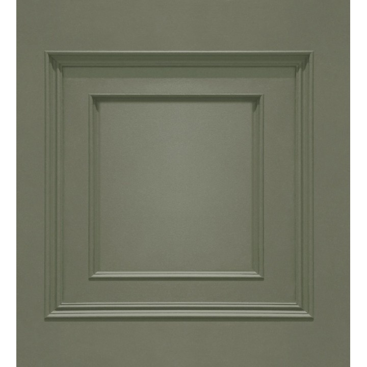 Papel pintado con efecto visual de casetones de madera color verde caqui sin relieve - Hampton Frame 683595