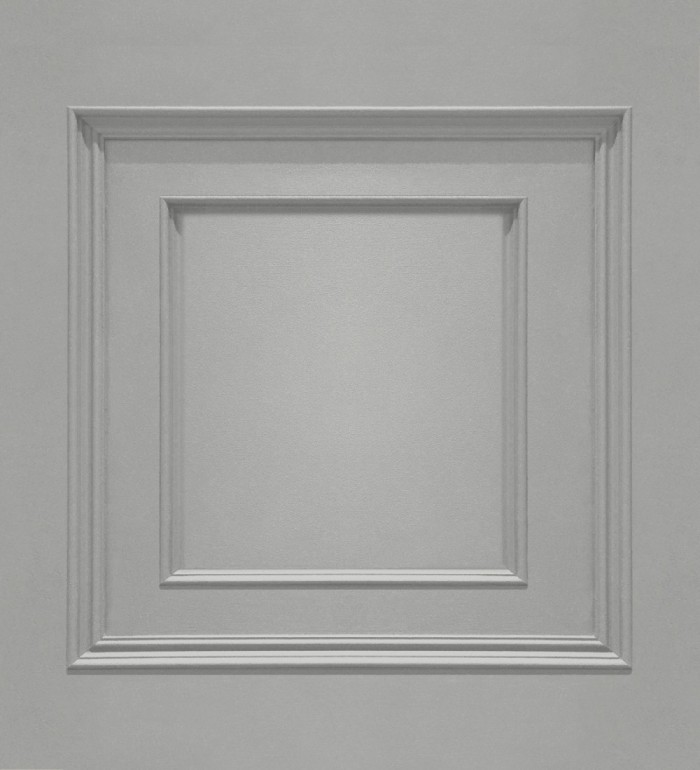 Papel pintado con efecto visual de casetones de madera color gris sin relieve - Hampton Frame 683612