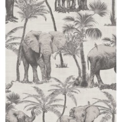 Papel pintado Burundi Animals 126303