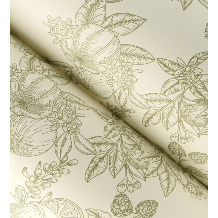 Papel pintado de frutos y hojas color verde fondo crema  - Sicily Pomm 683675