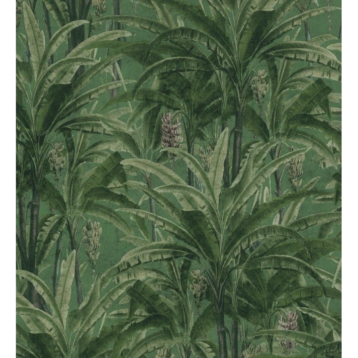 Papel pintado hojas de palmeras de la selva tropical - Beirut Tropic 126338