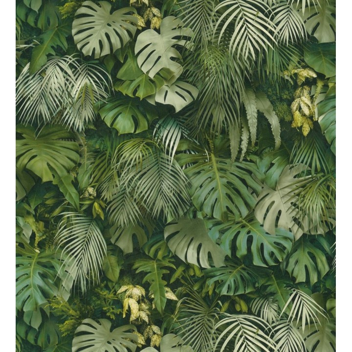 Papel pintado hojas de jungla estilo tropical - Summer Jungle 126374