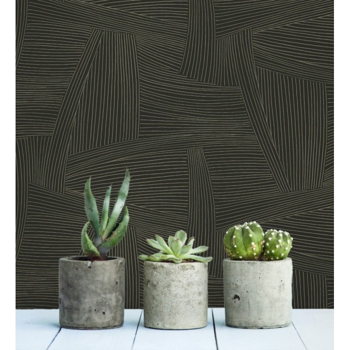 Papel pintado de líneas abstractas fondo negro - Miller Interweave 683862