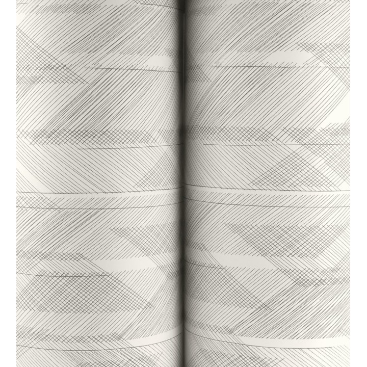 Papel pintado de trazado etéreo con líneas finas en negro - Nexus Interlaced 683867