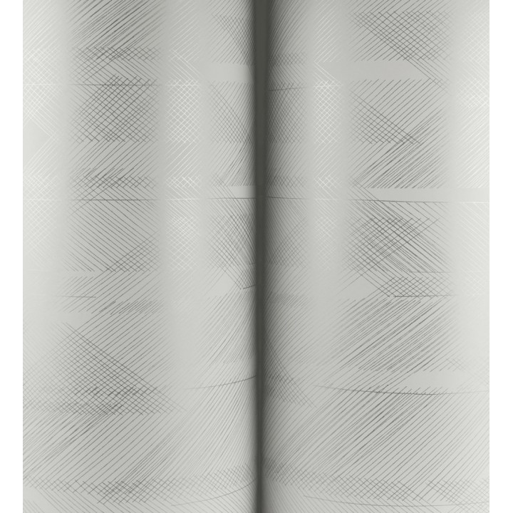 Papel pintado de trazado etéreo con líneas finas en gris - Nexus Interlaced 683869