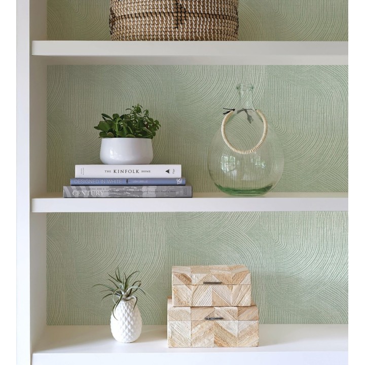 Papel pintado de líneas curvas fluidas en verde suave - Jude Minimal 683965