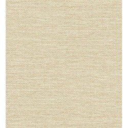 Studs Texture 683989