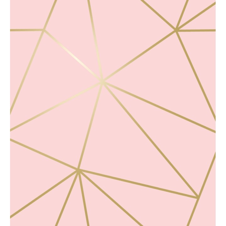 Papel pintado geométrico de líneas doradas sobre fondo rosa - Noa Pink 684091
