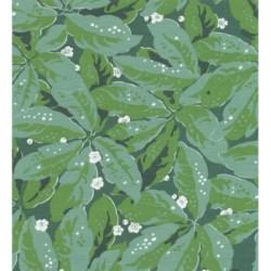 Okinawa Flowers 126427