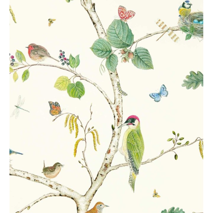 Papel pintado de pájaros y mariposas - Avon Birdie 684170