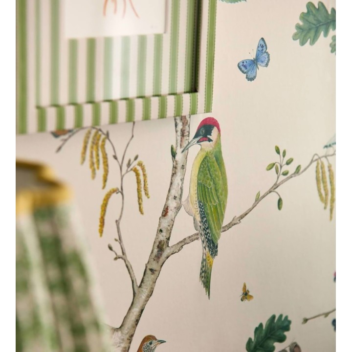 Papel pintado de pájaros y mariposas - Avon Birdie 684170