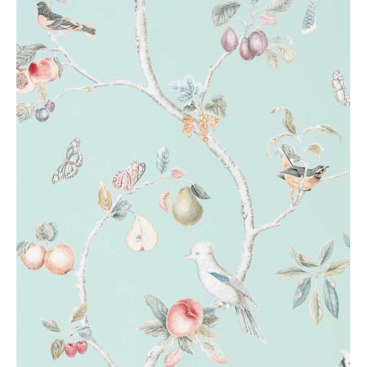 Papel pintados de pájaros y frutos - Birdie Dainty 684172
