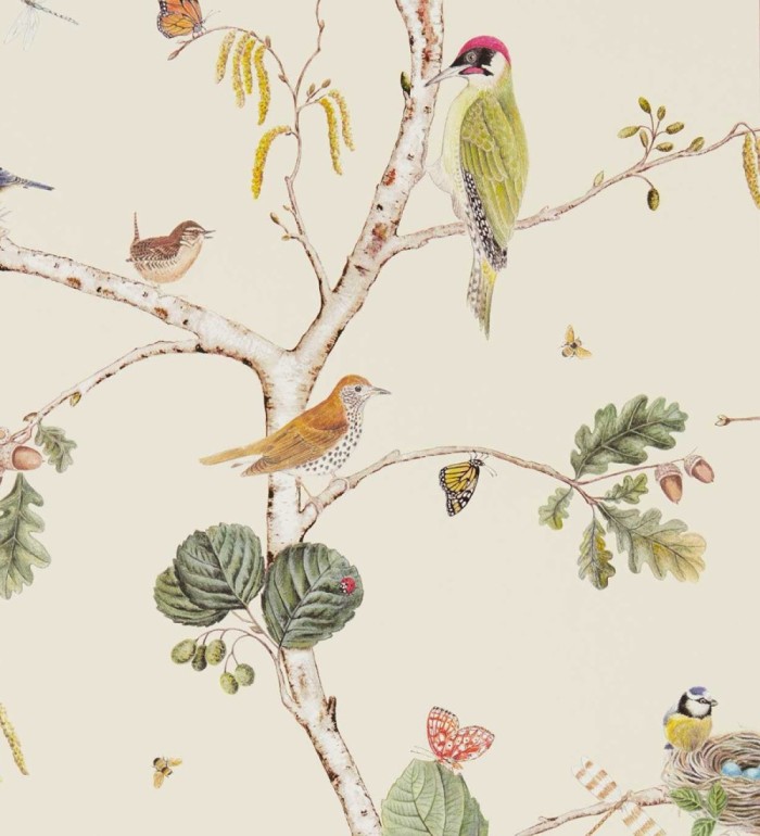 Papel pintado de pájaros y mariposas - Avon Birdie 684195