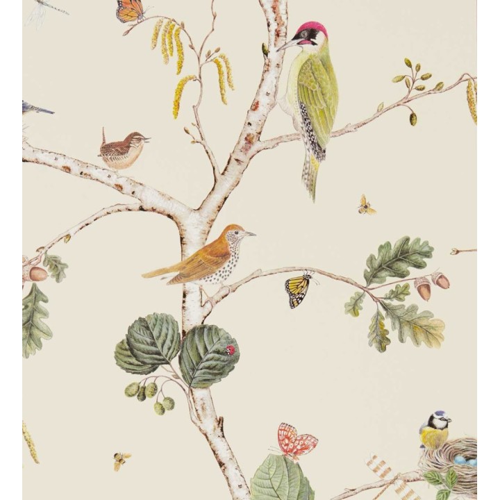 Papel pintado de pájaros y mariposas - Avon Birdie 684195