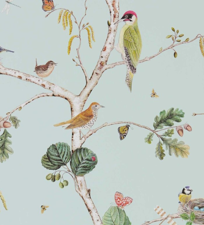 Papel pintado de pájaros y mariposas - Avon Birdie 684196