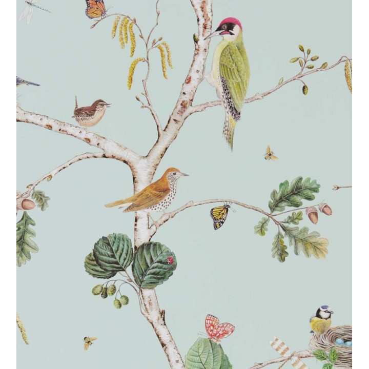 Papel pintado de pájaros y mariposas - Avon Birdie 684196