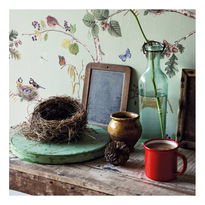 Papel pintado de pájaros y mariposas - Avon Birdie 684196