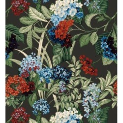 Medellin Overgrown 684224