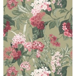 Medellin Overgrown 684225