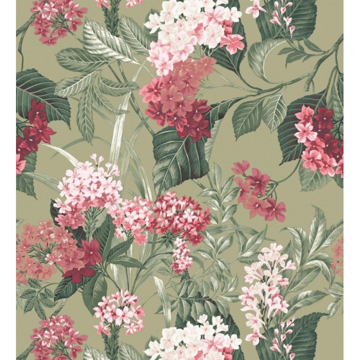 Papel pintado jardín botánico con ramillete de flores rosa y magenta - Medellin Overgrown 684225