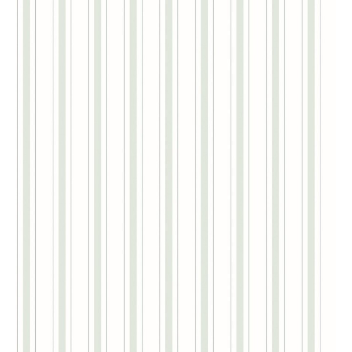 Albert Stripes 126497