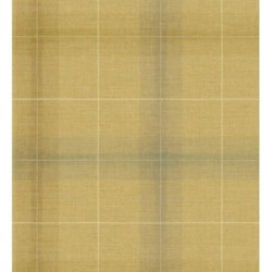 Papel pintado Nottingham Expansive 684371