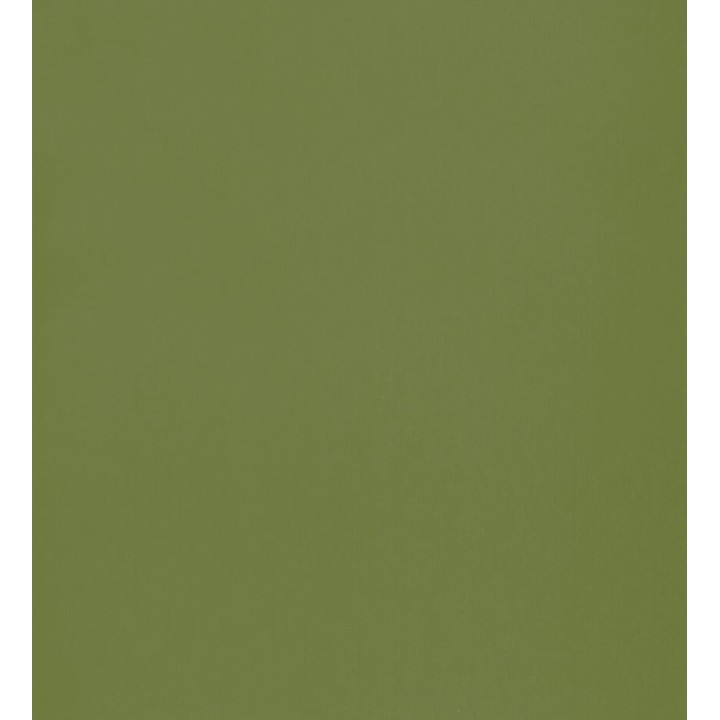 Papel pintado liso infantil verde oscuro - Halden Texture 126506