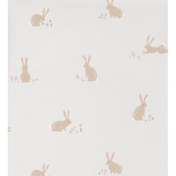 Cute Rabbits 126515