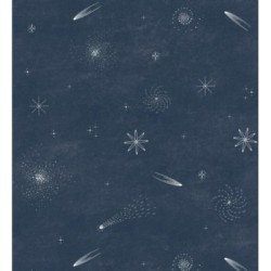 Papel pintado Parisian Stellar 684554