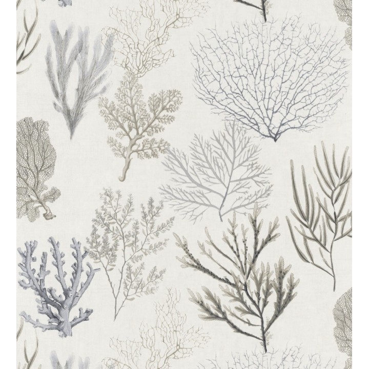 Baltic Forest 126563