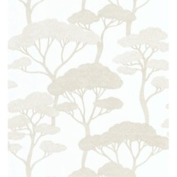 Shimane Bonsai 684585