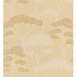 Shimane Bonsai 684586