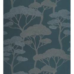 Shimane Bonsai 684587