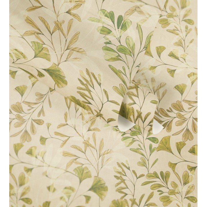 Papel pintado botánico hojas ginkgo vintage - Biloba Light 684649